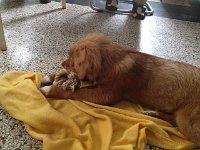 Rubicera (17)